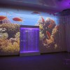 Проекционный дизайн "Виртуальная реальность" базовый комплект 500 анимаций - «globural.ru» - Тверь