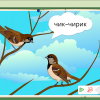 Интерактивное развивающее пособие "Говорящие картинки. Слушаем и повторяем" - «globural.ru» - Тверь