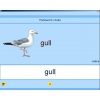 Английский язык. Освоение клавиатуры - «globural.ru» - Тверь