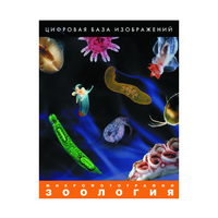 Зоология. Микрофотографии. (Цифровая база изображений) - «globural.ru» - Тверь