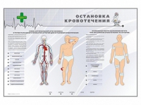 Электрифицированный стенд "Остановка кровотечения" - «globural.ru» - Тверь