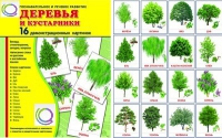 Демонстрационные карточки "Деревья и кустарники" - «globural.ru» - Тверь