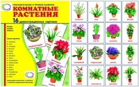 Демонстрационные карточки "Комнатные растения" - «globural.ru» - Тверь