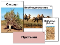 Модель-аппликация "Природные зоны России" - «globural.ru» - Тверь