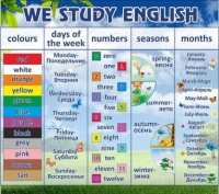 Стенд "We study english" - «globural.ru» - Тверь