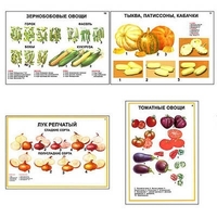 Плакаты ПРОФТЕХ "Ассортимент овощных культур" (12 пл, винил, 70х100) - «globural.ru» - Тверь