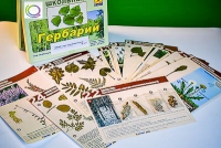 Гербарий к курсу основ общей биологии - «globural.ru» - Тверь
