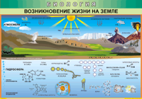 Таблица Возникновение жизни на Земле 1000*1400 винил - «globural.ru» - Тверь
