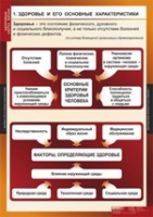 ОБЖ Здоровый образ жизни (комплект таблиц) - «globural.ru» - Тверь