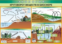 Таблица Круговорот веществ в биосфере 1000*700 винил - «globural.ru» - Тверь