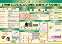 Таблица Биотические взаимоотношения организмов 1000*700 (винил) - «globural.ru» - Тверь