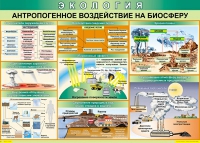 Таблица Антропогенное воздействие на биосферу 1000*700 винил - «globural.ru» - Тверь