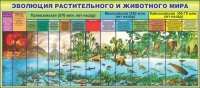 Стенд "Эволюция растительного и животного мира" - «globural.ru» - Тверь