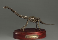 Модель скелета динозавра Brachiosaurus - «globural.ru» - Тверь