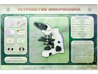Электрифицированный стенд "Устройство микроскопа и правила работы c ним" - «globural.ru» - Тверь