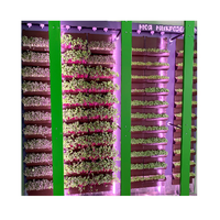 Вертикальная ферма "Моя Микрозелень" комплектация Школьная - «globural.ru» - Тверь