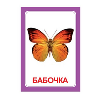 Логопедка "Ч" (логопедические карточки) - «globural.ru» - Тверь
