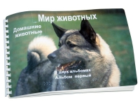 Пособие для слабовидящих "Домашние животные" - «globural.ru» - Тверь