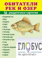 Раздаточные карточки "Обитатели рек и озер" - «globural.ru» - Тверь