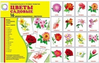 Демонстрационные карточки "Цветы садовые" - «globural.ru» - Тверь