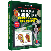 Наглядная биология. Человек. Строение тела человека - «globural.ru» - Тверь