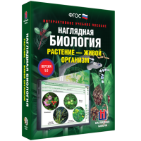Наглядная биология. Растение - живой организм - «globural.ru» - Тверь