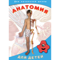 DVD  Анатомия для детей - «globural.ru» - Тверь
