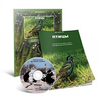 Электронное наглядное пособие «Птицы» - «globural.ru» - Тверь