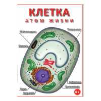 DVD Клетка - "атом жизни" - «globural.ru» - Тверь