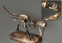 Модель скелета динозавра Tyrannosaurus - «globural.ru» - Тверь