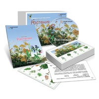 Комбинированное наглядное пособие «Растения» - «globural.ru» - Тверь