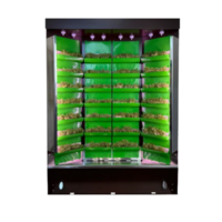 Вертикальная ферма "Моя Микрозелень" комплектация "Театро настольная" - «globural.ru» - Тверь