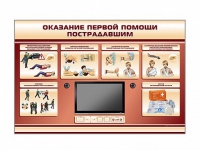 Многофункциональный интерактивный стенд-тренажер "Оказание первой помощи пострадавшим" для учащихся общеобразовательных учреждений - «globural.ru» - Тверь