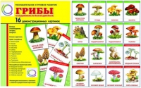 Демонстрационные карточки  "Грибы съедобные и не съедобные" - «globural.ru» - Тверь