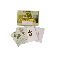 Гербарий "Деревья и кустарники" (22 вида, с иллюстрациями) - «globural.ru» - Тверь