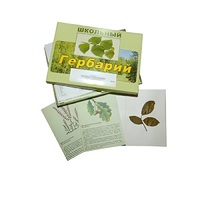 Гербарий "Дикорастущие растения" (30 видов, с иллюстрациями) - «globural.ru» - Тверь