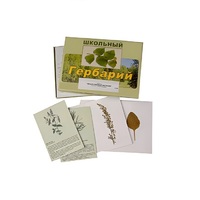 Гербарий "Лекарственные растения" (22 вида, с иллюстрациями) - «globural.ru» - Тверь