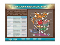 Интерактивный электрифицированный стенд "Эволюция животного мира" - «globural.ru» - Тверь