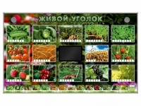 Комплект оборудования "Живой уголок" (растения) - «globural.ru» - Тверь
