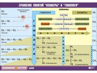 Таблица демонстрационная "Сравнение понятий изомер и гомолог" (винил 100х140) - «globural.ru» - Тверь