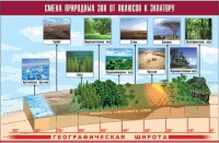 Таблица демонстрационная "Смена природных зон от полюсов к экватору" (винил 70x100) - «globural.ru» - Тверь