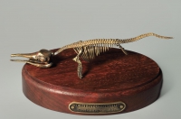 Модель скелета ихтиозавра Ichthyosaurus - «globural.ru» - Тверь