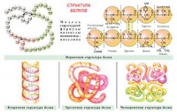 Плакаты и таблицы по общей химии - «globural.ru» - Тверь
