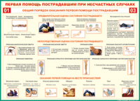  Таблица Общий порядок оказания первой помощи пострадавшим 1000*1400 винил	 - «globural.ru» - Тверь
