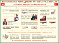 Таблица Порядок действий при переломах конечностей 1000*1400 винил - «globural.ru» - Тверь
