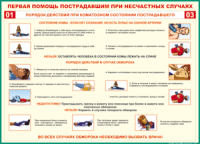 Таблица Порядок действий при коматозном состоянии пострадавшего 1000*1400 винил - «globural.ru» - Тверь