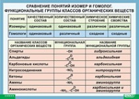 Химия. Сравнение понятий изомер и гомолог. Функциональные группы классов органических веществ (винил) - «globural.ru» - Тверь