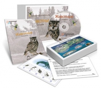 Комбинированное наглядное пособие «Животные» - «globural.ru» - Тверь