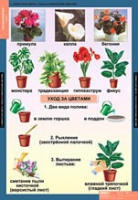 Окружающий мир 1 класс (комплект таблиц) - «globural.ru» - Тверь