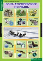 Окружающий мир 4 класс (комплект таблиц) - «globural.ru» - Тверь